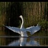 20120528_055